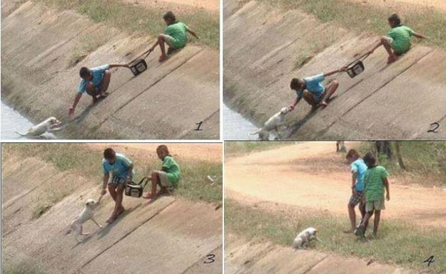 Двое детей спасают собаку, которая упала в овраг