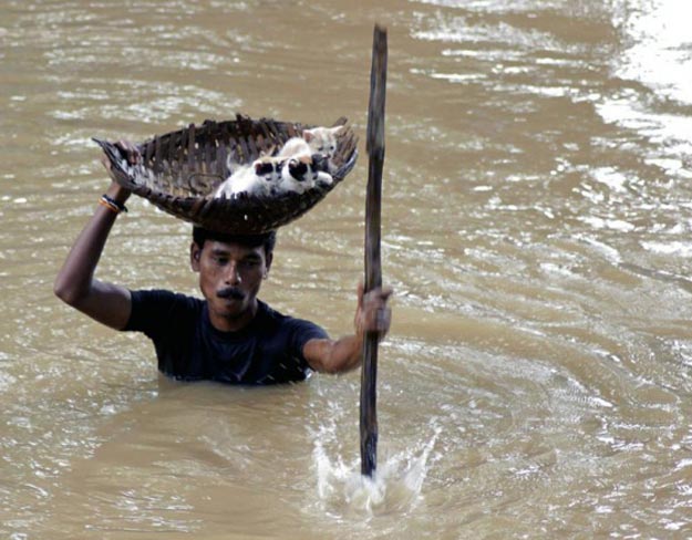 Местный житель выносит котят на сушу во время наводнения
