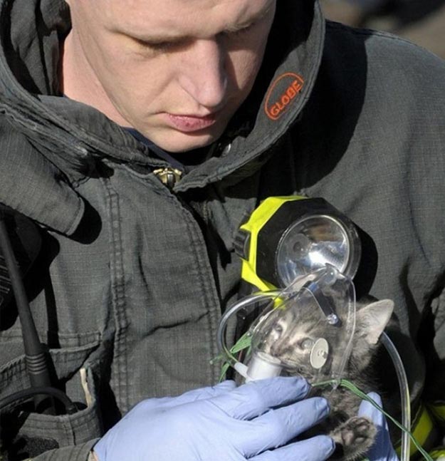 Фотография пожарного, дающего кислород спасенному из огня котенку