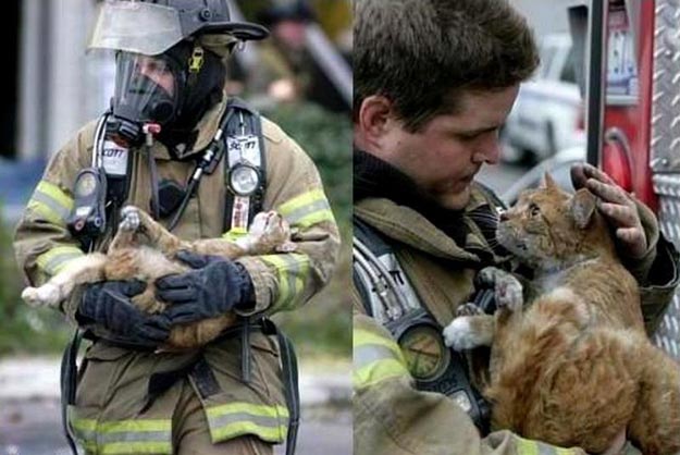 Пожарный дает кислород спасенной кошке